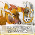The Importance of Separation